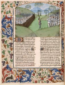 La palissade saxonne à la Bataille de Hastings (1066) de 