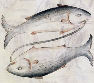 Sloane 3983 Dessin de Poissons, d