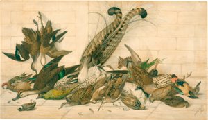 sans titre (Oiseaux de gibier australiens)