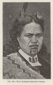 Femme tatouée de Nouvelle-Zélande - New Zealand School