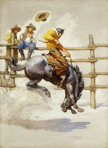 Le cheval sauvage