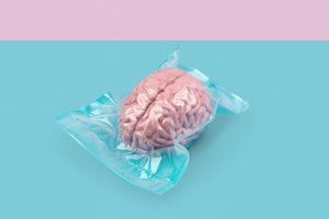 Cerveau, 2020