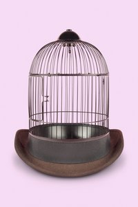 Cage mentale, 2020