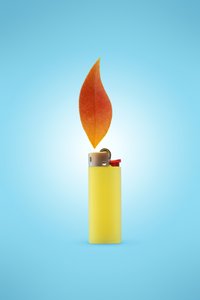 Le briquet