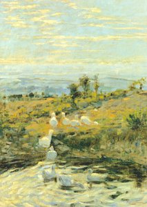 Canards le matin, vers 1892