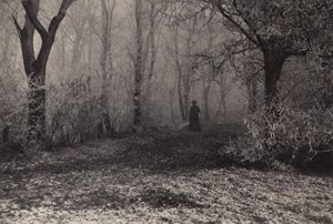 Dans la forêt de Vienne