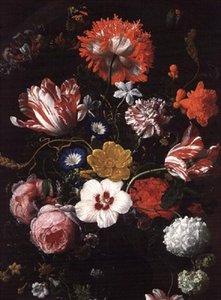 Nature morte avec des fleurs - Nicholaes van Verendael