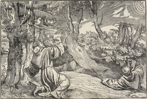 Saint François recevant les stigmates - Nicolò Boldrini