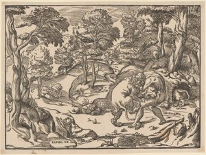 Hercule et le lion de Némée - Nicolò Boldrini, after Raphael