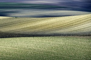  - Nicola Figliuolo