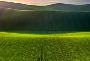  - Nicola Figliuolo