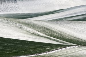  - Nicola Figliuolo