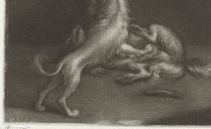 Deux chiens jouant - Nicolaas Verkolje