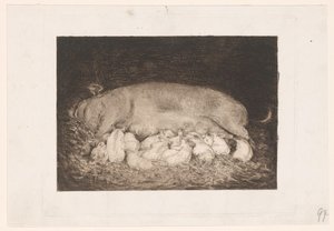 Truie avec porcelets - Nicolaas van der Waay