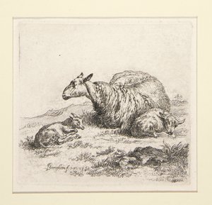 2 gravures de La série des moutons avec la bergère et les moutons, la soi-disant Femme - Nicolaes Berchem