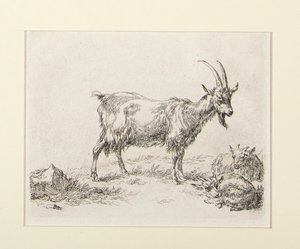 6 gravures de - Nicolaes Berchem