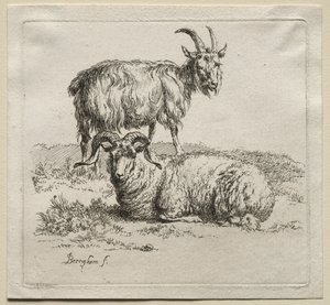 Animalia : Bélier et Chèvre - Nicolaes Berchem