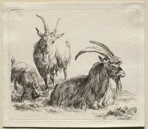Animalia : Trois Chèvres - Nicolaes Berchem