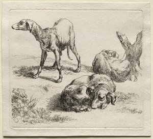 Animalia : Trois chiens de chasse - Nicolaes Berchem