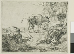 Vache se soulageant - Nicolaes Berchem