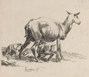Brebis Allaitant son Agneau - Nicolaes Berchem