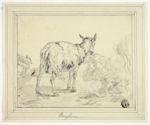 Chèvre - Nicolaes Berchem