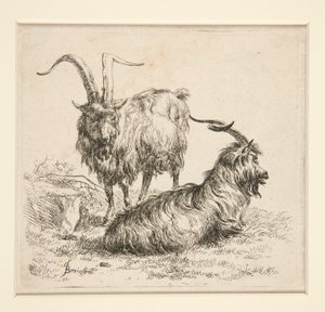 Chèvres (de - Nicolaes Berchem