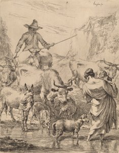 Troupeau traversant le ruisseau
