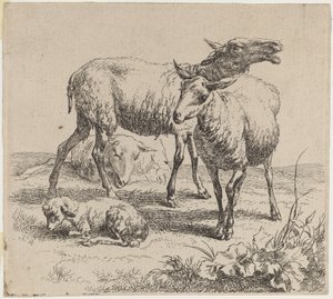 Trois moutons et un agneau - Nicolaes Berchem