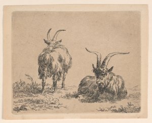 Deux Chèvres - Nicolaes Berchem