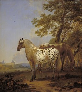 Deux chevaux dans un paysage - Nicolaes Berchem