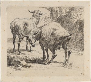 Deux Moutons, Un Pissant - Nicolaes Berchem