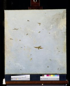 Plafond de maison de poupée avec ciel nuageux et oiseaux