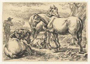 Trois chevaux (Animaux) - Nicolaes Pietersz Berchem