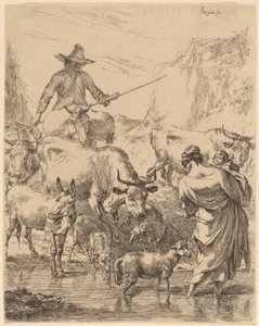 Troupeau traversant le ruisseau