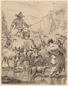 Troupeau traversant le ruisseau