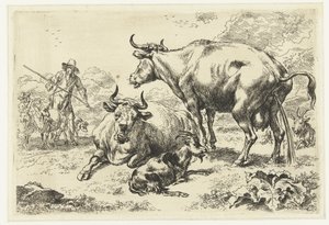 Vache couchée et vache urinant - Nicolaes Pietersz Berchem