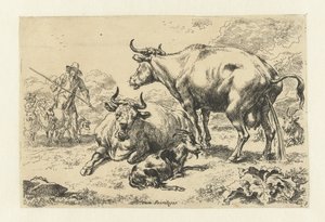 Vache couchée et vache urinant - Nicolaes Pietersz Berchem