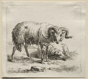 Bélier et mouton - Nicolaes Pietersz. Berchem