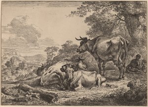 Vaches au repos - Nicolaes Pietersz Berchem