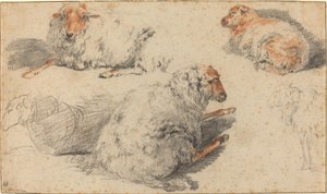 Moutons - Nicolaes Pietersz Berchem