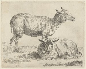 Mouton debout et couché