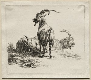 Trois chèvres - Nicolaes Pietersz. Berchem