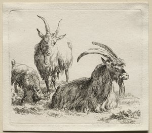 Trois chèvres - Nicolaes Pietersz. Berchem