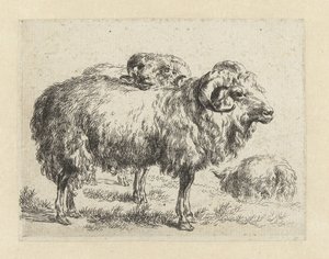 Deux béliers et un mouton - Nicolaes Pietersz Berchem