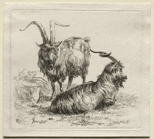 Deux chèvres - Nicolaes Pietersz. Berchem