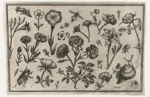 Fleurs, une mouche et un escargot - Nicolaes de Bruyn (possibly)