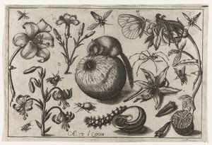 Fleurs et une souris sur une pomme