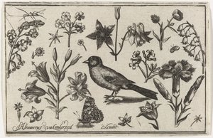 Fleurs, papillon et un oiseau - Nicolaes de Bruyn (possibly)