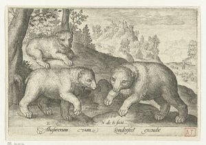 Trois ours - Nicolaes de Bruyn